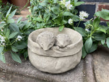 STONE GARDEN HEDGEHOG PLANTER ORNAMENT STATUE
