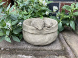 STONE GARDEN HEDGEHOG PLANTER ORNAMENT STATUE