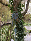 METAL HANGING TREE OF LIFE DREAM CATCHER CHAIN GARDEN ORNAMENT DECOR