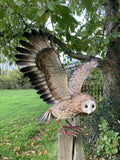 COLOURED METAL FLYING OWL BIRD STATUE GARDEN ORNAMENT