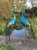 PAIR OF COLOURED METAL PEACOCKS BIRD STATUE GARDEN ORNAMENTS
