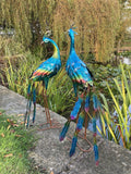 PAIR OF COLOURED METAL PEACOCKS BIRD STATUE GARDEN ORNAMENTS