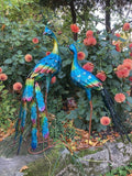 PAIR OF COLOURED METAL PEACOCKS BIRD STATUE GARDEN ORNAMENTS