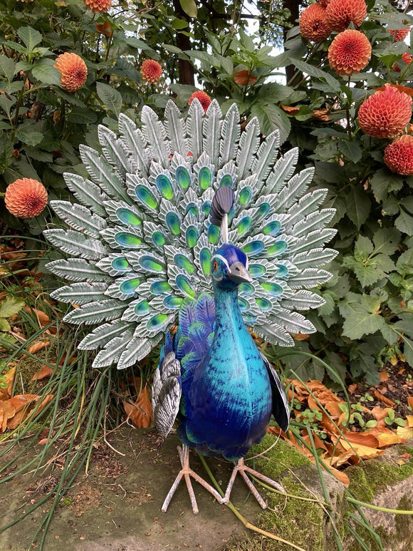 COLOURED METAL PEACOCK BIRD STATUE GARDEN ORNAMENT