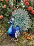COLOURED METAL PEACOCK BIRD STATUE GARDEN ORNAMENT