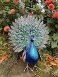 COLOURED METAL PEACOCK BIRD STATUE GARDEN ORNAMENT