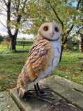 COLOURED METAL BARN OWL BIRD STATUE GARDEN ORNAMENT
