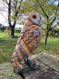 COLOURED METAL BARN OWL BIRD STATUE GARDEN ORNAMENT