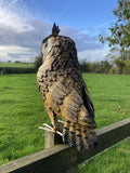COLOURED METAL OWL BIRD STATUE GARDEN ORNAMENT