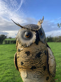 COLOURED METAL OWL BIRD STATUE GARDEN ORNAMENT