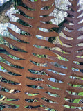 SET OF 2 RUSTY METAL FERN LEAF PLANT STAKES GARDEN DECORATIONS