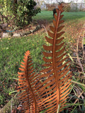 SET OF 2 RUSTY METAL FERN LEAF PLANT STAKES GARDEN DECORATIONS