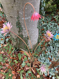 SET OF 2 COLOURED METAL DAISY FLOWER SPRAY STAKE GARDEN ORNAMENTS