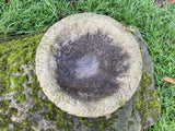 AGED RECONSTITUTED STONE GARDEN ROCKERY DISH / BIRD BATH TOP STATUE ORNAMENT