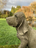 AGED RECONSTITUTED STONE GARDEN BLOODHOUND DOG STATUE ORNAMENT