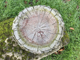AGED RECONSTITUTED STONE GARDEN IVY BIRD BATH TOP DISH ORNAMENT