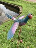 COLOURED METAL ROCKING FUNKY PHEASANT STAKE GARDEN DECORATION