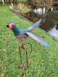COLOURED METAL ROCKING FUNKY PHEASANT STAKE GARDEN DECORATION