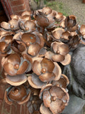 SET OF 3 COPPER EFFECT METAL FLOWER SPRAY STAKES GARDEN SUPPORTS