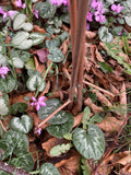 SET OF 3 COPPER EFFECT METAL FLOWER SPRAY STAKES GARDEN SUPPORTS