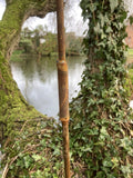 TALL RUSTY METAL LARGE CHRYSANTHEMUM FLOWER STAKE GARDEN STEEL SUPPORT