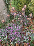 SET OF 3 COPPER EFFECT METAL FLOWER BUD SPRAY STAKES GARDEN SUPPORTS