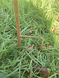 METAL RUST EFFECT WELSH DRAGON WELCOME SIGN STAKE GARDEN ORNAMENT