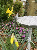 METAL CAST IRON HUMMINGBIRD FLOWER BIRD BATH / FEEDER GARDEN ORNAMENT