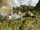 SET OF 3 SMALL RESIN GOLDFINCH BIRD GARDEN ORNAMENTS