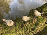 SET OF 3 SMALL RESIN SPARROWS BIRD GARDEN ORNAMENTS