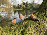 SET OF 3 SMALL RESIN CHAFFINCH BIRD GARDEN ORNAMENTS