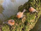 SET OF 3 SMALL RESIN CHAFFINCH BIRD GARDEN ORNAMENTS
