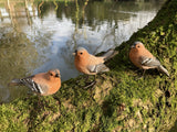 SET OF 3 SMALL RESIN CHAFFINCH BIRD GARDEN ORNAMENTS