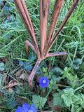 TALL BROWN METAL TOADSTOOL / MUSHROOM CLUSTER STAKE GARDEN ORNAMENT