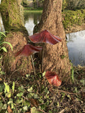 RED METAL LUSTRE  TOADSTOOL / MUSHROOM 3 CLUSTER STAKE GARDEN ORNAMENT