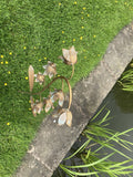 METAL FRITILLARIA  FLOWER PLANT STAKE GARDEN ORNAMENT