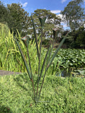 COLOURED METAL CALLA LILY FLOWER STAKE GARDEN ORNAMENT