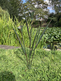 COLOURED METAL CALLA LILY FLOWER STAKE GARDEN ORNAMENT