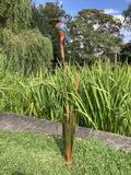 COLOURED METAL GARDEN KINGFISHER ON REED / BULRUSH PLANT STAKE POND ORNAMENT