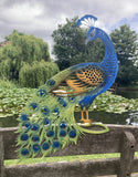 COLOURED METAL PEACOCK FENCE ART SILHOUETTE GARDEN ORNAMENT