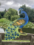 COLOURED METAL PEACOCK FENCE ART SILHOUETTE GARDEN ORNAMENT