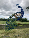 COLOURED METAL PEACOCK FENCE ART SILHOUETTE GARDEN ORNAMENT