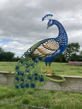 COLOURED METAL PEACOCK FENCE ART SILHOUETTE GARDEN ORNAMENT