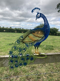 COLOURED METAL PEACOCK FENCE ART SILHOUETTE GARDEN ORNAMENT