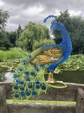 COLOURED METAL PEACOCK FENCE ART SILHOUETTE GARDEN ORNAMENT
