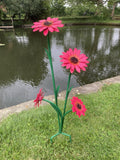 COLOURED METAL PINK GERBERA FLOWER CLUSTER STAKE GARDEN ORNAMENT