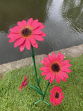 COLOURED METAL PINK GERBERA FLOWER CLUSTER STAKE GARDEN ORNAMENT