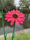 COLOURED METAL PINK GERBERA FLOWER CLUSTER STAKE GARDEN ORNAMENT