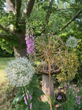 LARGE METAL ALIUM GOLD EFFECT FLOWER HEAD STAKE GARDEN SUPPORT ORNAMENT