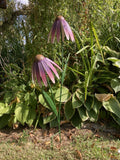 COLOURED METAL PINK / PURPLE ECHINACEA DOUBLE FLOWER STAKE GARDEN ORNAMENT